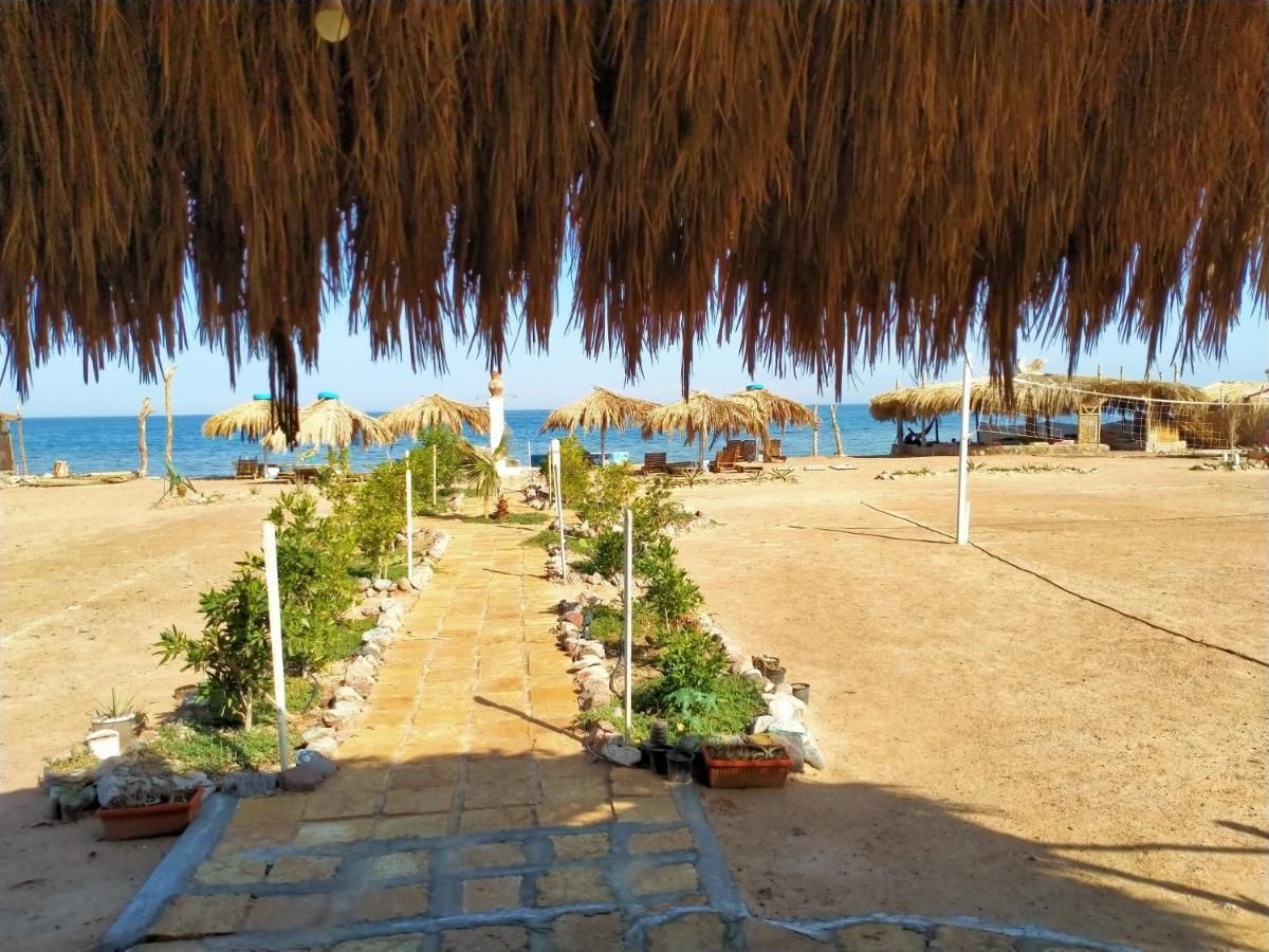 Wishwashi Camp & Spa Nuweiba` 외부 사진